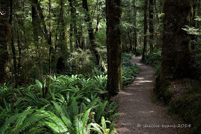 [情報] 于玥命理/週運勢(2/2-2/7)
