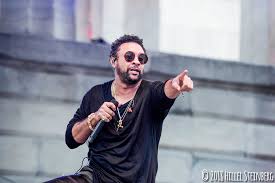Shaggy reggae fusion artist,reggae fusion songs,