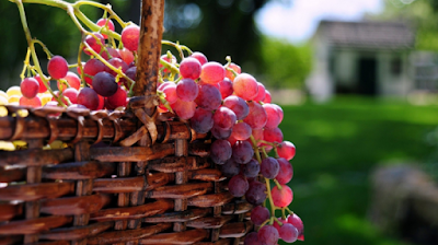 http://www.manfaatsiana.com/2016/11/segudang-manfaat-buah-anggur-merah.html