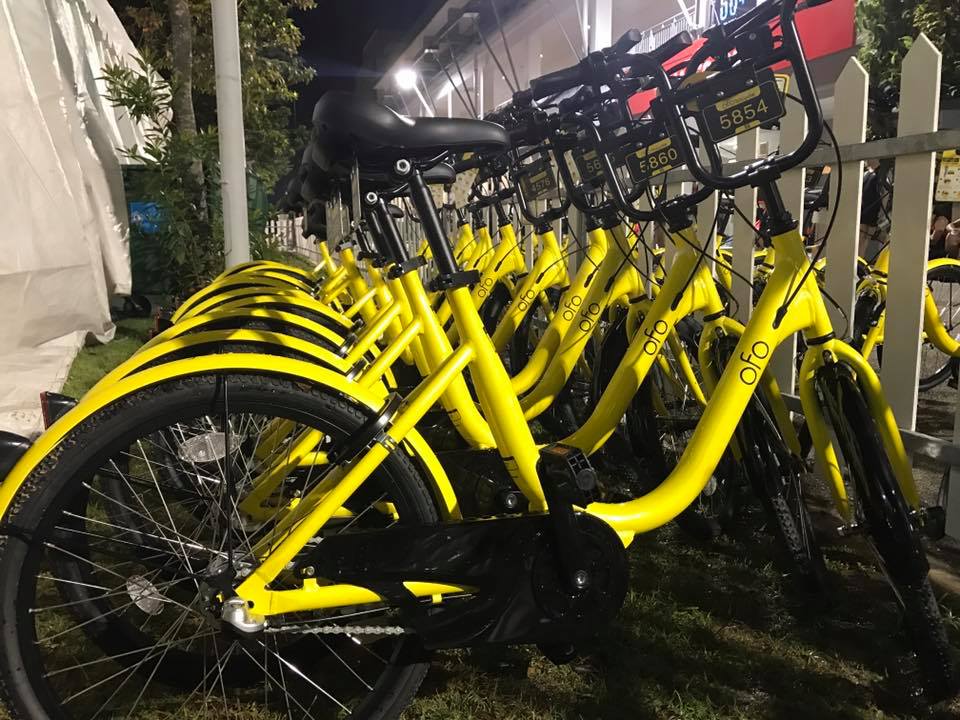 ofo bike value