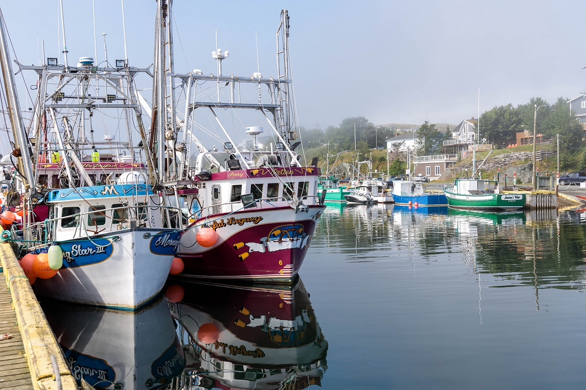 Bitstop Port de Grave Boats