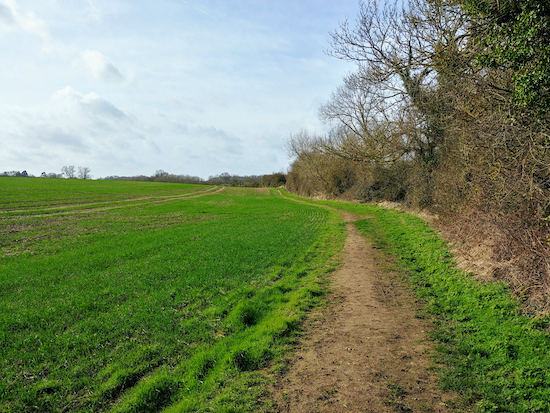 Hunsdon footpath 6 just after you leave the village - mentioned in point 1 below Image by Hertfordshire Walker released via Creative Commons BY-NC-SA 4.0 Hunsdon footpath 6 just after you leave the village - mentioned in point 1 below Image by Hertfordshire Walker released via Creative Commons BY-NC-SA 4.0