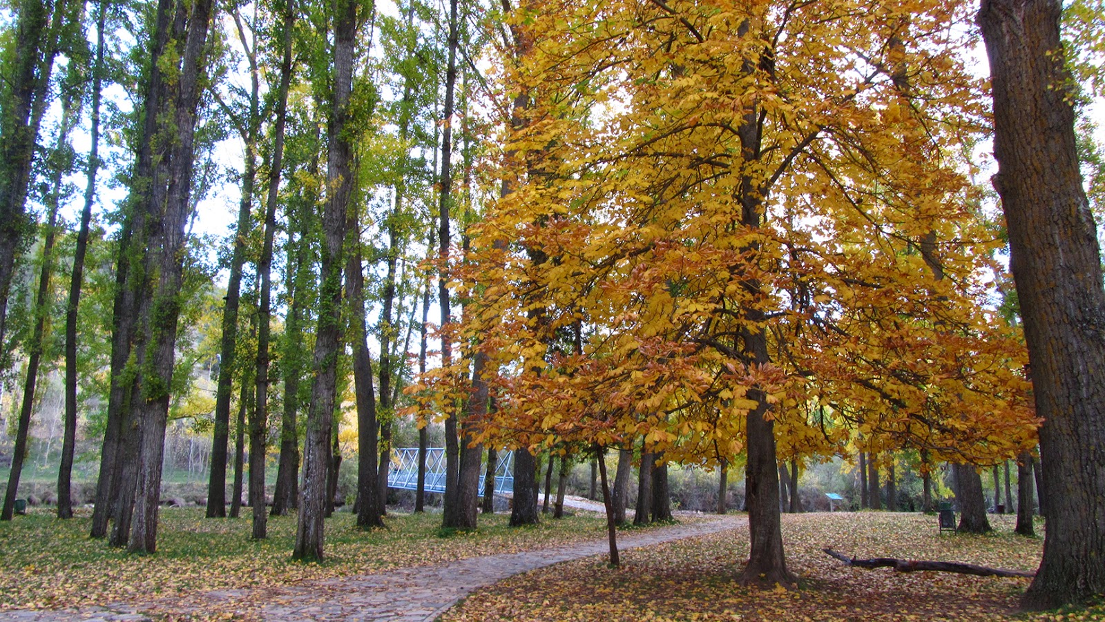 running-ameiseblog running-ameiseblog