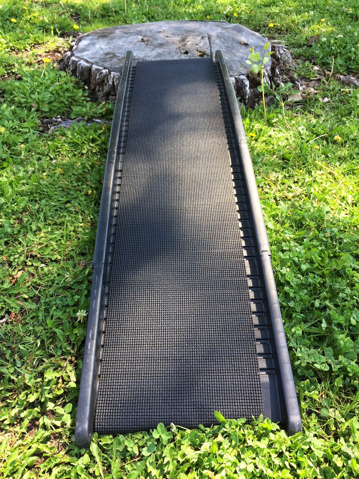 Paws and Pals Dog Ramp Review