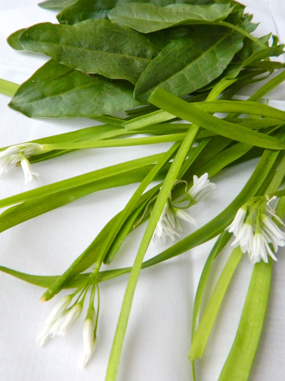 tofu for tea: Foraging in Howth
