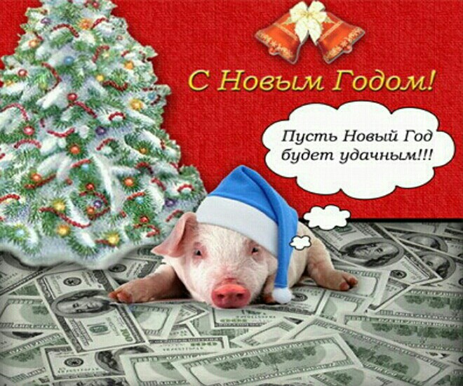 Поздравление С Новым Годом Годом Свиньи 2021