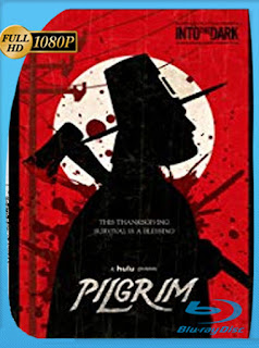 Pilgrim (2019) HD [1080p] Latino [Google Drive] Panchirulo