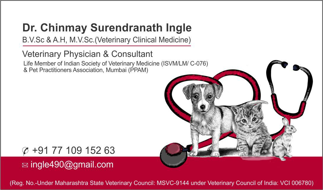 Veterinary Doctor in Mumbai Contact Details