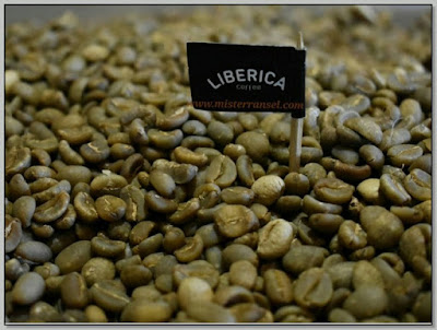 Coffee Liberica