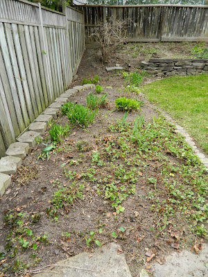 Spring garden cleanup Graydon after by Paul Jung Gardening Services Toronto