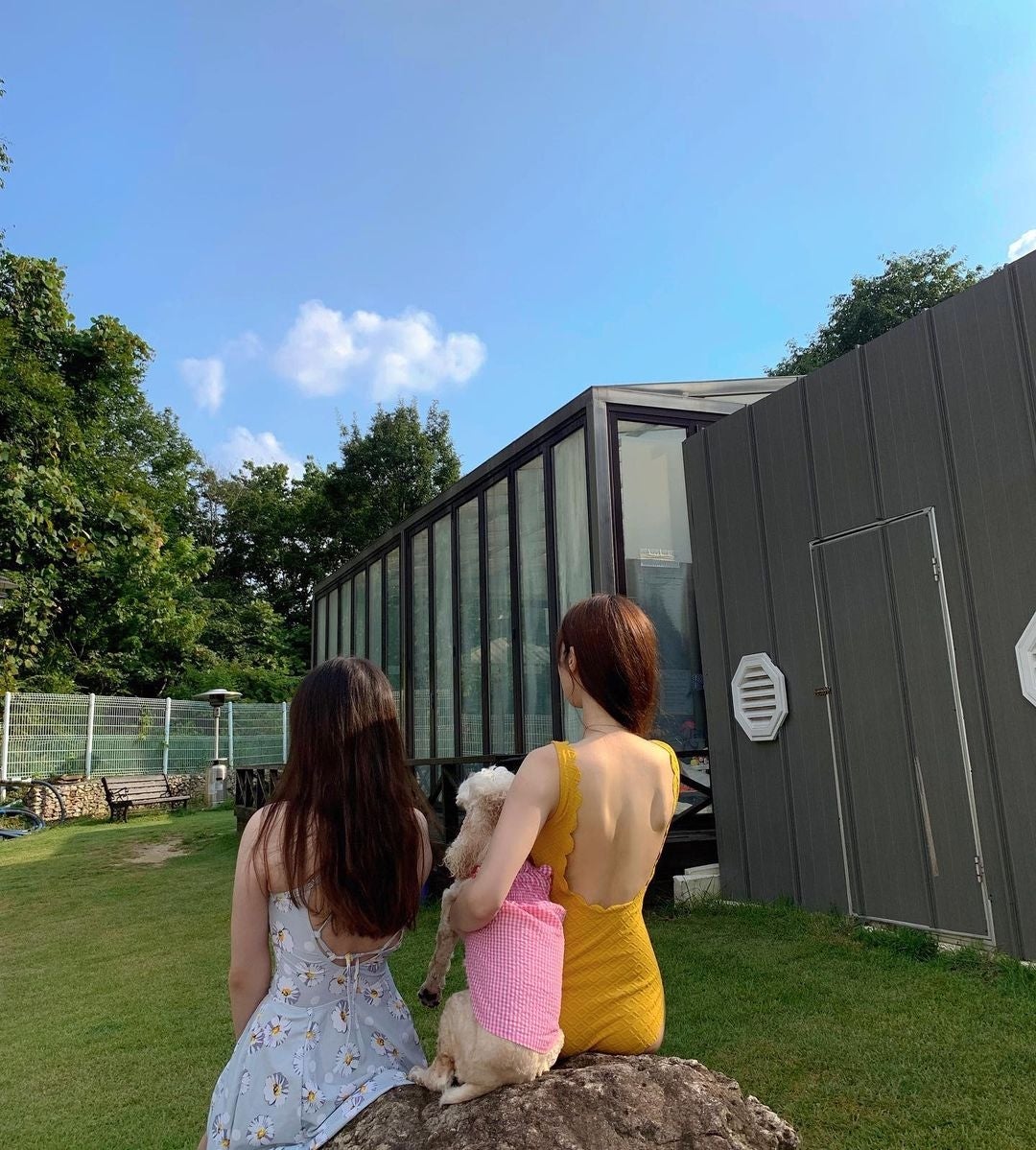 썸네일-노란 레이스수영복 가 바위에 눌린 스텔라 민희-이미지