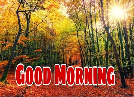 Good Morning Good Morning
