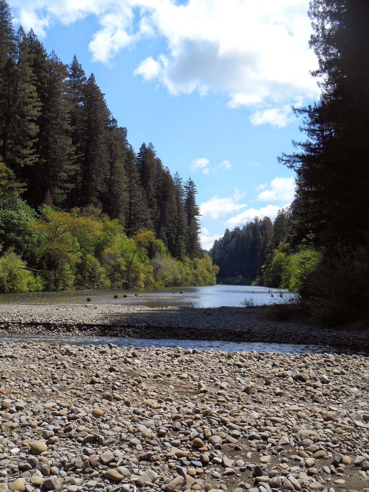 Tales From the Trails: Eel River
