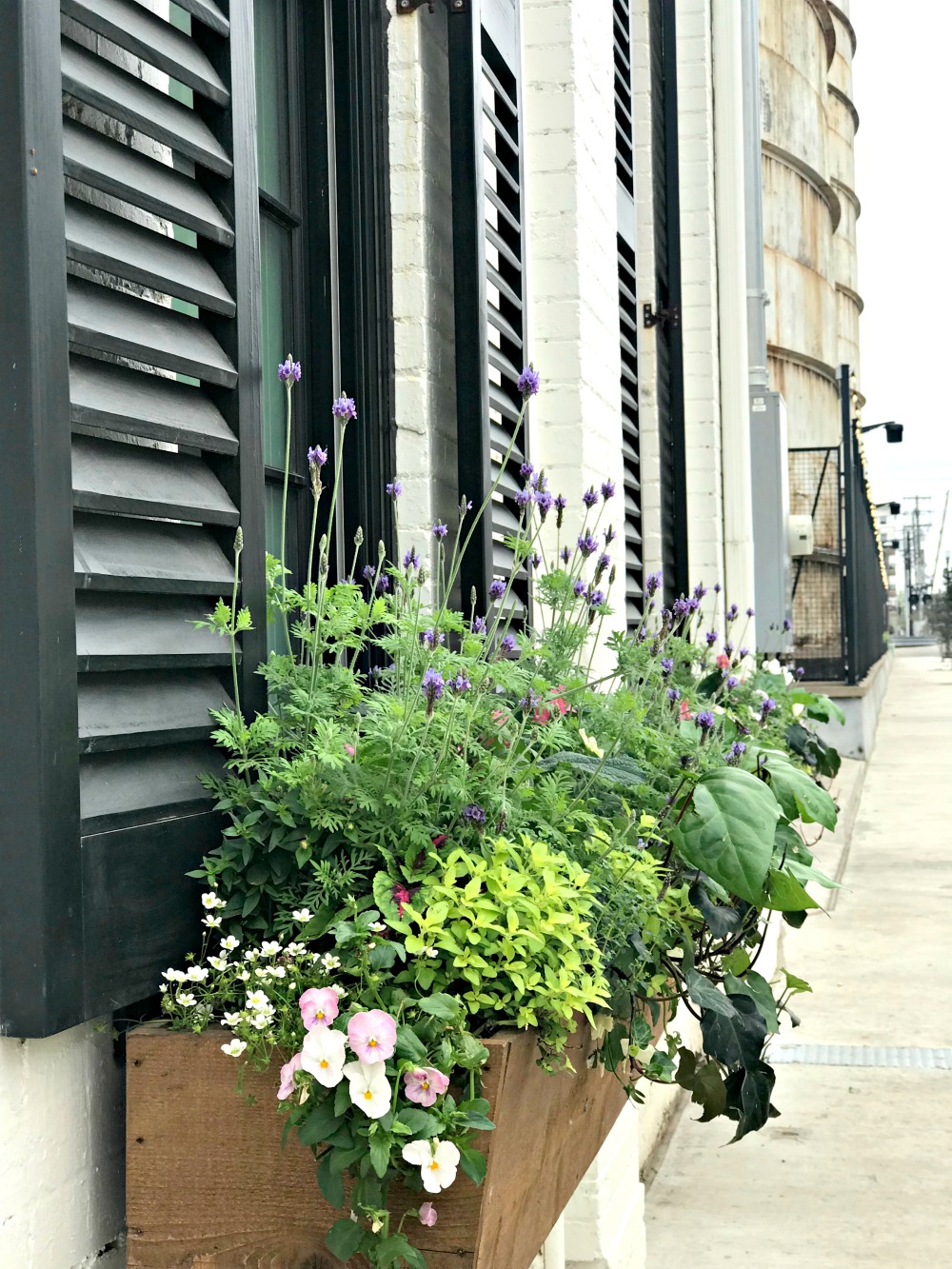 Top 5 Things to do in Waco, Texas