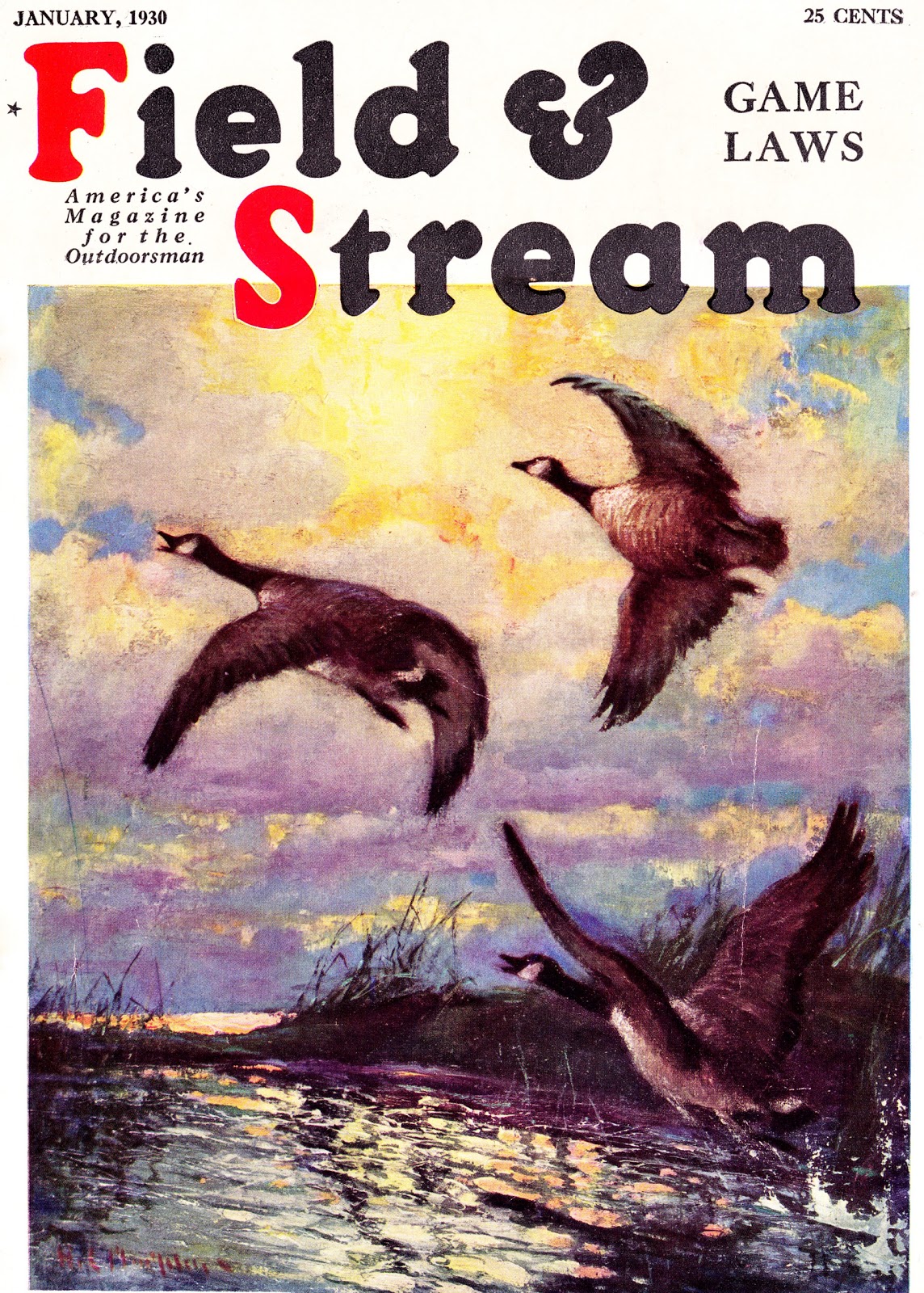 Into The Wild Cover Work Field and Stream The 30's