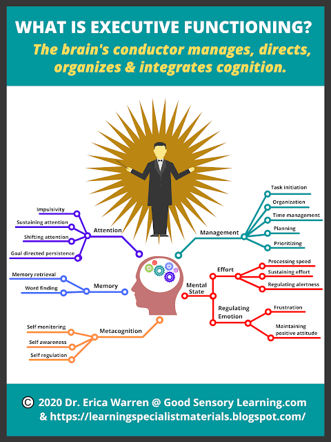 web that shows the conductor of the brain, executive functioning, and it's purpose