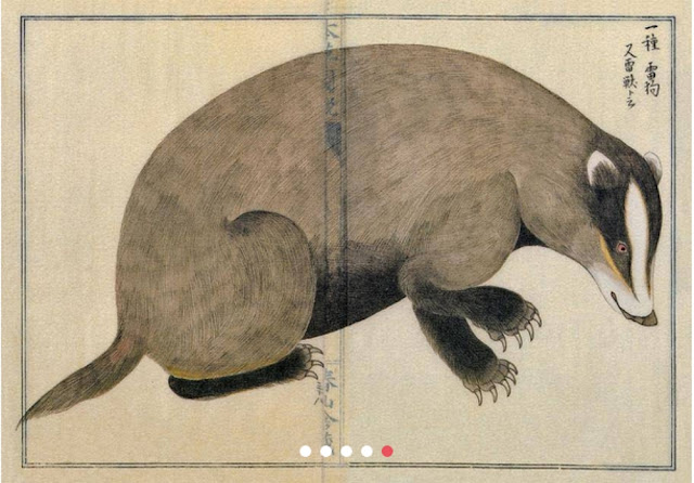 Takagi Haruyama - японский иллюстратор(1803-1868) эпохи Эдо.