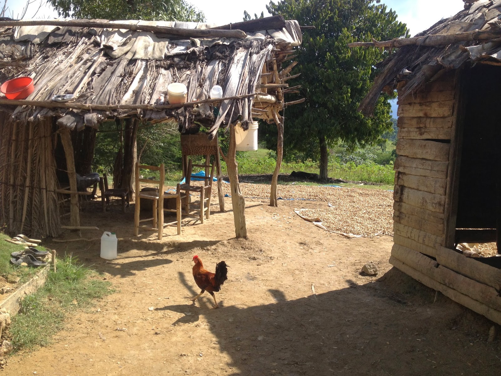 Many Parts, One Body Masters of the Dew