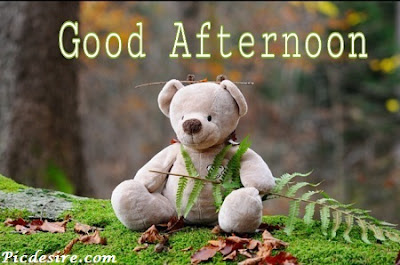 Best 50 Good Afternoon Images 2020 || Good Afternoon Images for Whatsapp Best 50 Good Afternoon Images 2020 || Good Afternoon Images for Whatsapp