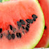 Take Watermelon Seeds and Boil Them – The Results Will Shock You!