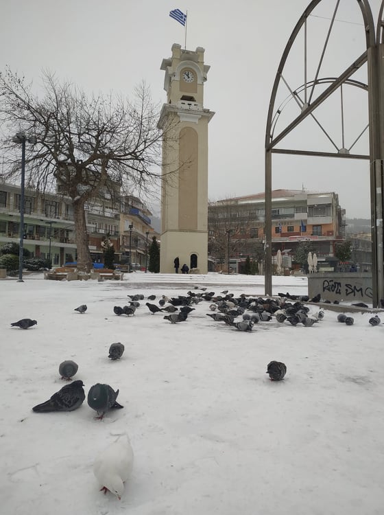 Έκτακτο: Κλειστά και την Τρίτη τα σχολεία στην ΑΜΘ