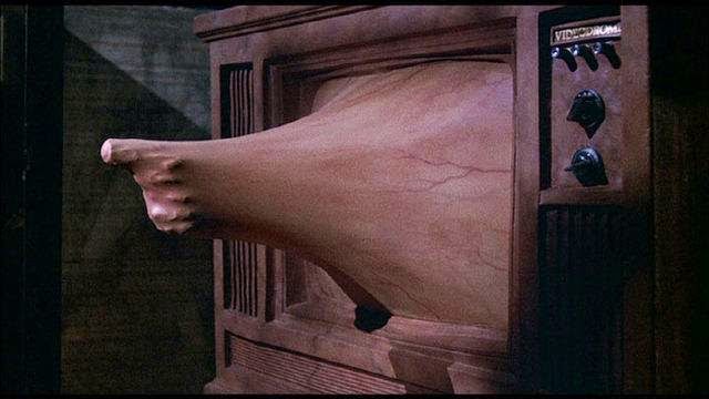 videodrome-david-cronenberg-1983-L-k2KmOl.jpeg
