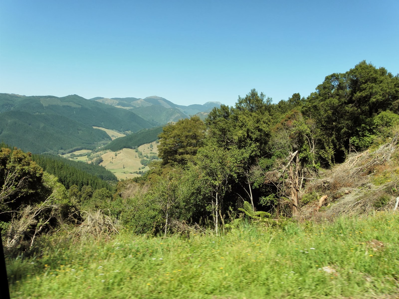 Travels with my Motorhome Across the Takaka Hills & Far, Far Away