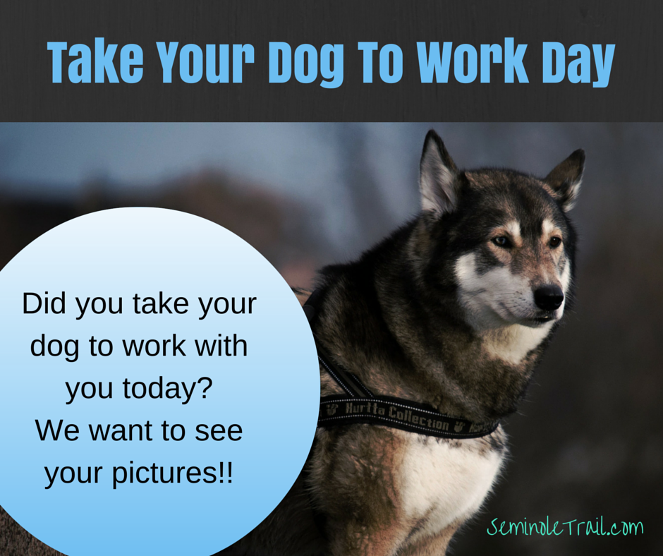 Work Like a Dog Day Work Like a Dog Day
