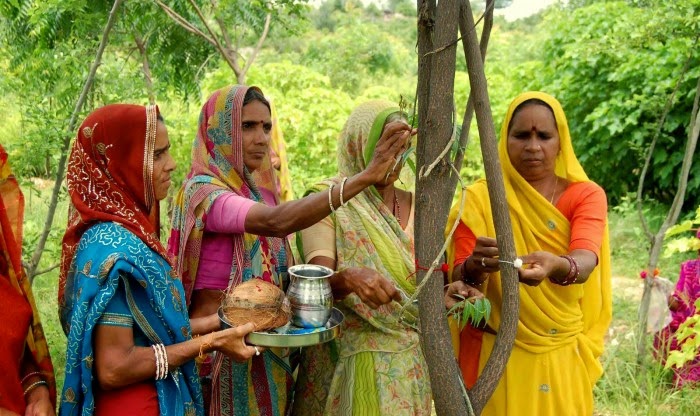 This Indian Village Plants 111 Trees Every Time a Girl Is Born - As a female child is born, the village gathers to plant 111 trees..