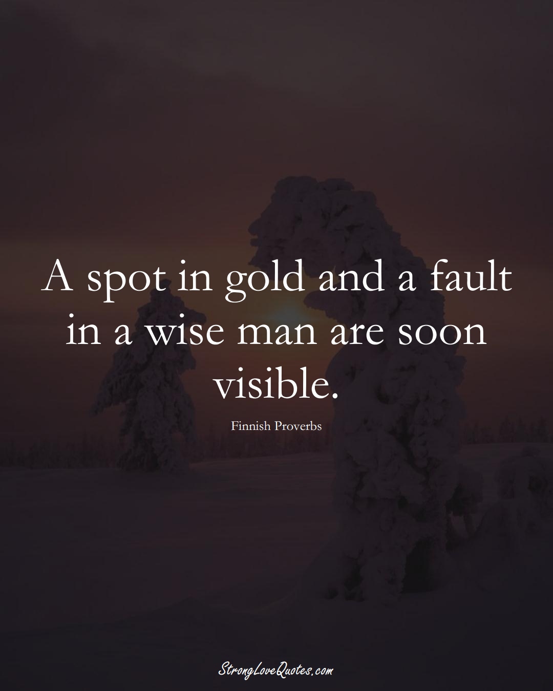 A spot in gold and a fault in a wise man are soon visible. (Finnish Sayings);  #EuropeanSayings