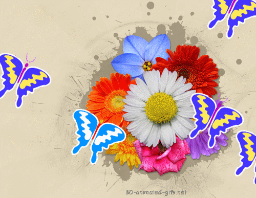 animated free gif: Wedding flowers congratulation butterfly animated gifs  free download photo graphic art abstract desktop wallpaper background  mobile phone .... animated gifs free download ...