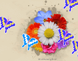 flowers animated mobile 3d background gifs phone animations desktop animation wallpapers congratulation graphic butterfly phones abstract backgrounds graphics moving colorful