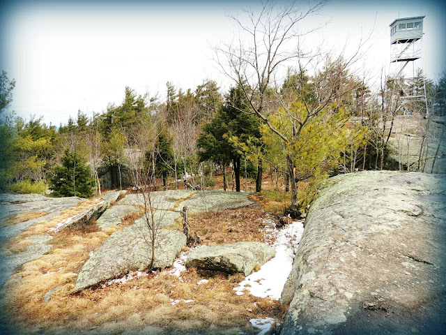 Fire Tower del Pawtuckaway State Park en New Hampshire