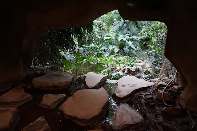 Jardin des Plantes - Serre des forêts tropicales humides