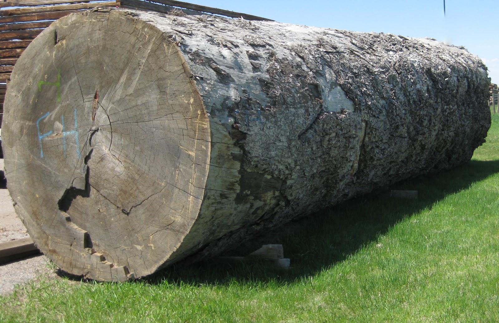Montana Reclaimed Lumber Co. Old Growth DouglasFir Logs