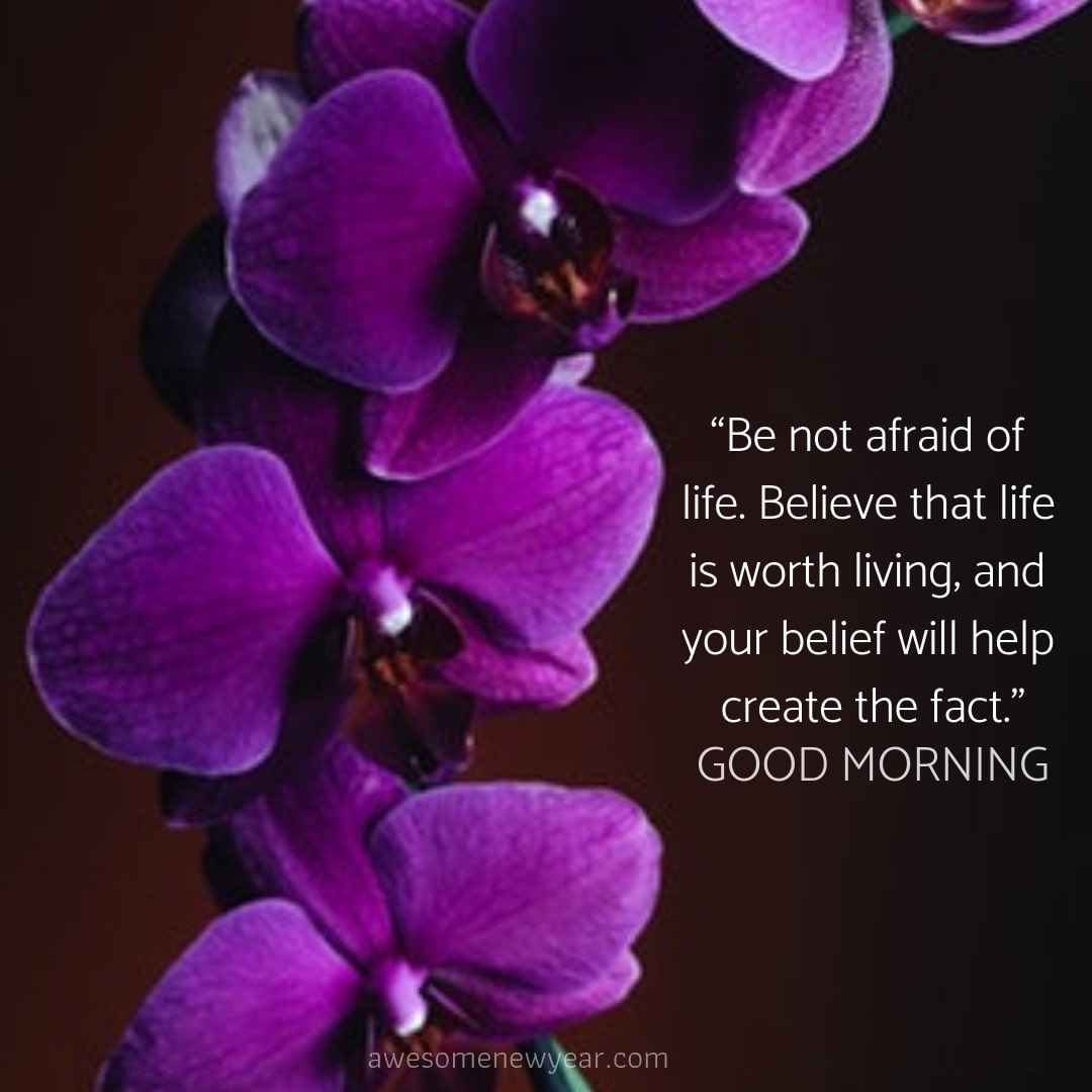 Pics Flower Beautiful Thought Good Morning / 101 Beautiful Good Morning