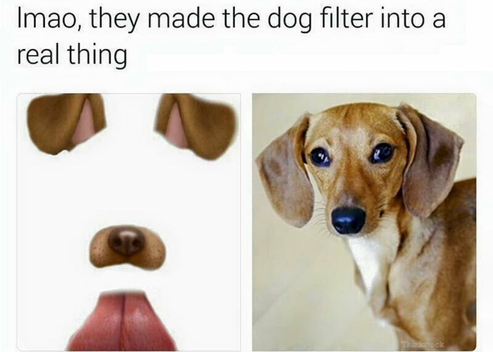 Movie presentation. What are they made of задание. They made me do it donnie darko. They made. They made.