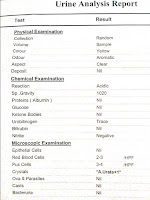 شرح كامل لتحليل البول وقراءة النتائج والتفسير والاحتياطات