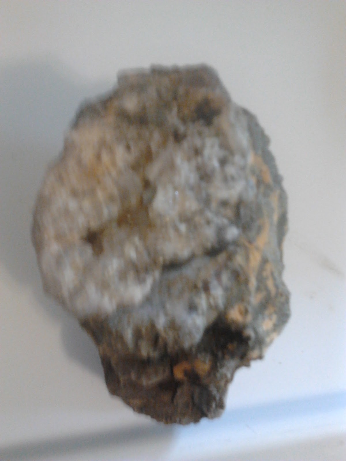 kentucky Geode find Kentucky Geode Find