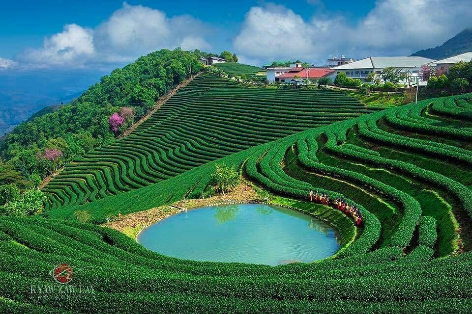 Chaw Su Mon Shan State