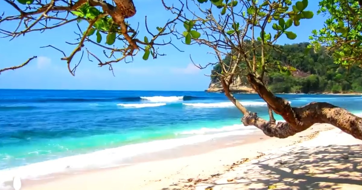 Why does sea water look blue ? Know some scientific reasons.