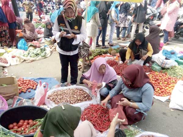 Stabilkan Harga Pangan, Inflasi Daerah di Sumatera Barat Terjaga