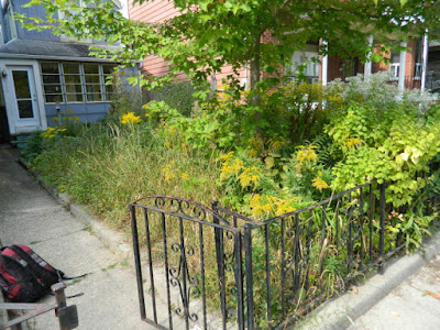 Little Italy Fall Front Garden Cleanup Before by Paul Jung Gardening Services--a Toronto Organic Gardening Company Little Italy Fall Front Garden Cleanup Before by Paul Jung Gardening Services--a Toronto Organic Gardening Company