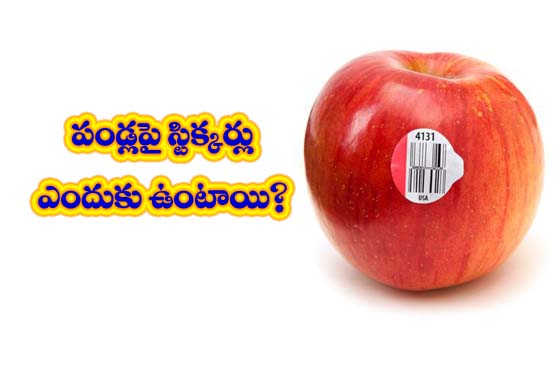 What do this Stickers on Fruits-Health Tips