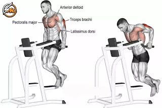 5 Best Exercises to Develop Lower Chest