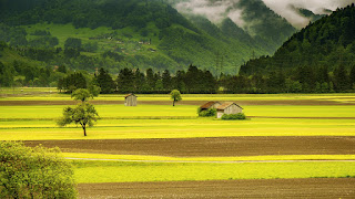 Pemandangan Pedesaan