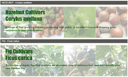 Fruit and Nut Cultivars