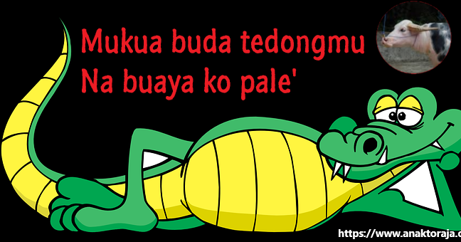  Bahasa  Toraja lucu  dan  artinya 