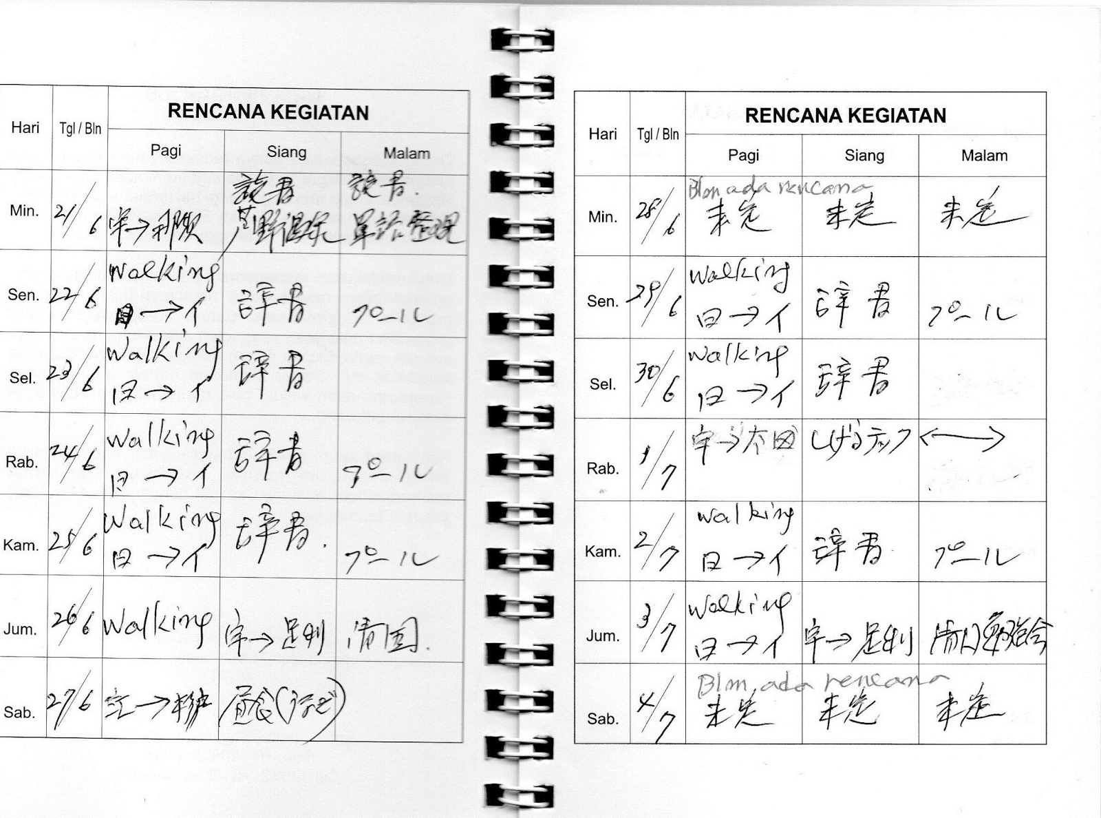 katsujiroueno Contoh Pengisian Weekly Planning Notebook