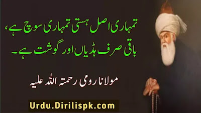 Rumi Quotes in Urdu